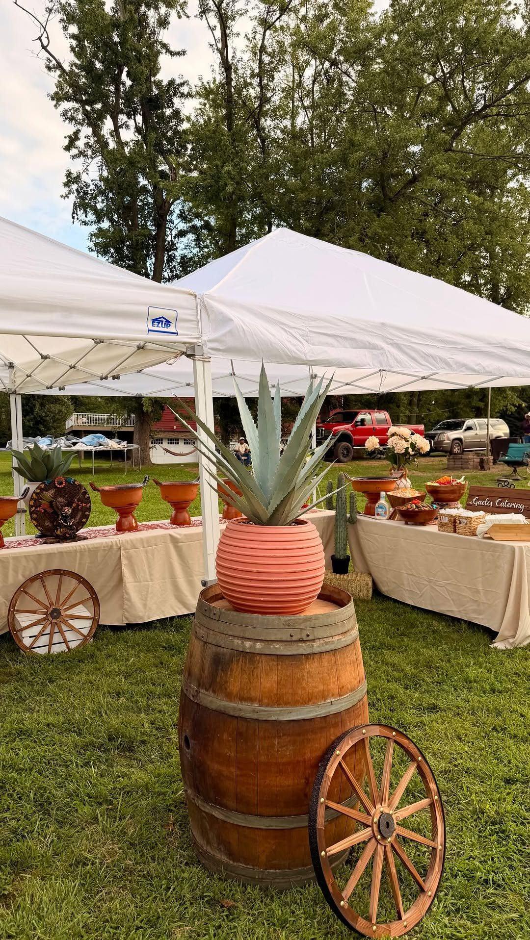 An outdoor Gaelos catering setup with white tents, buffet tables of terracotta pots and an agave planter on a barrel with wagon wheels